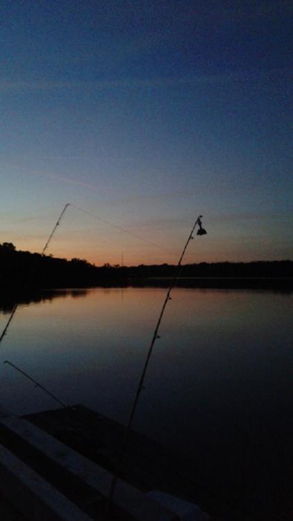 20150912_200231.thumb.jpg.68f78996e42b37