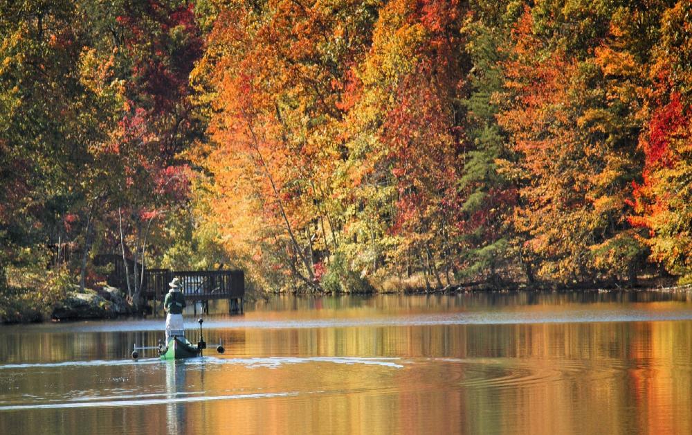 2015-10 WJ on Sherwood - Crop.jpg