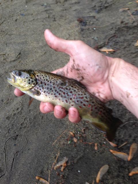 56c4f4a84f819_12BrownSchroonRiver.jpg.86