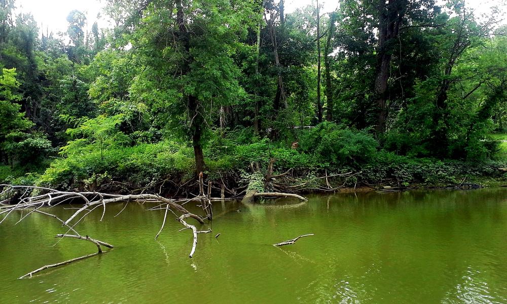 winton lake.jpg