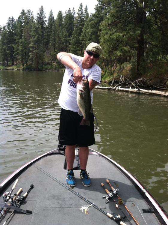 Bass.thumb.jpg.17eeae6ba2ae7f26112d4e6c9