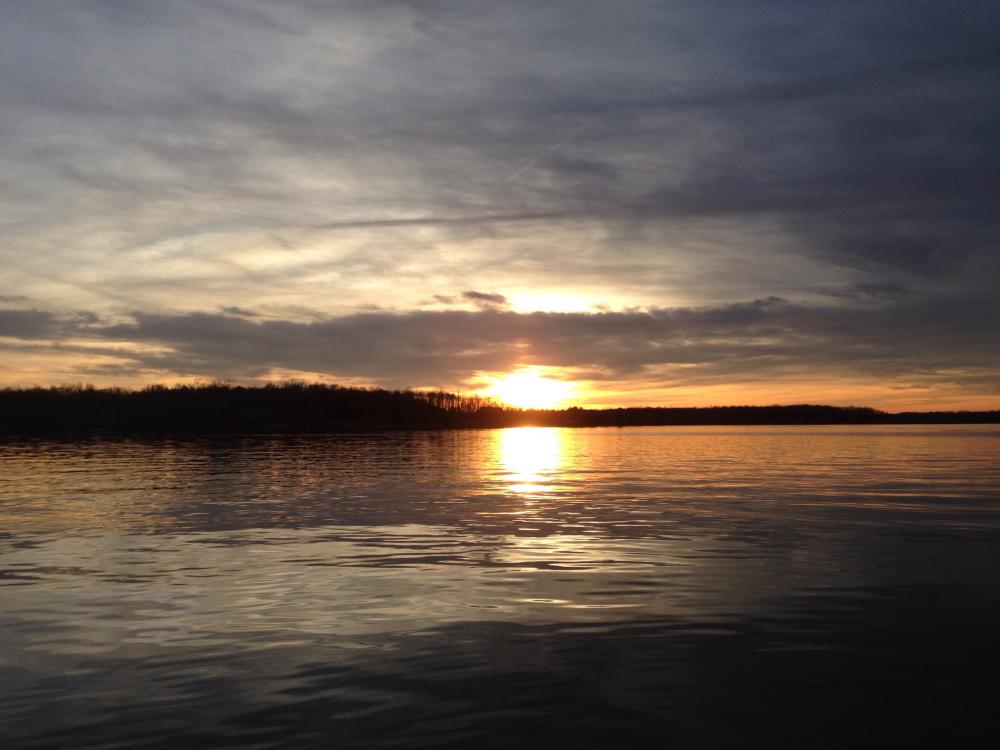 IMG_0299.thumb.jpg.5eb8fd9c5609c4a30b3d4