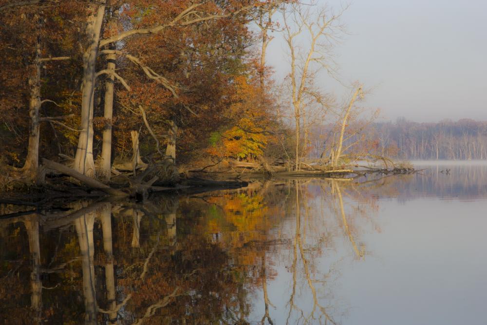 rsz_fall_potomac.jpg