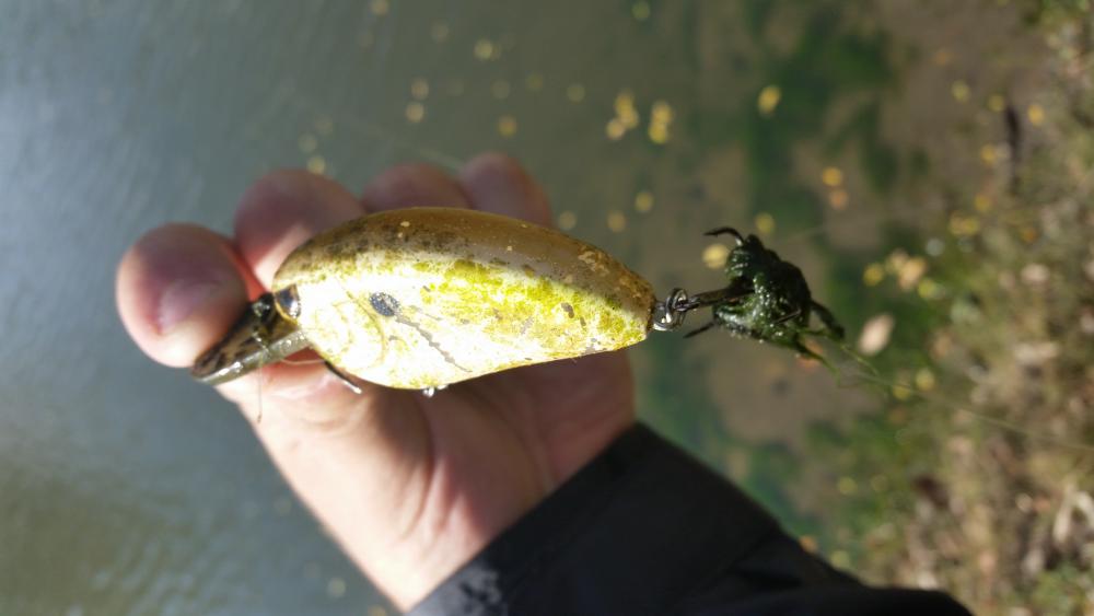 20141017_115631.jpg