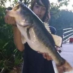 FloridaBasser1