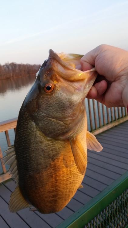 20160308_175209.jpg