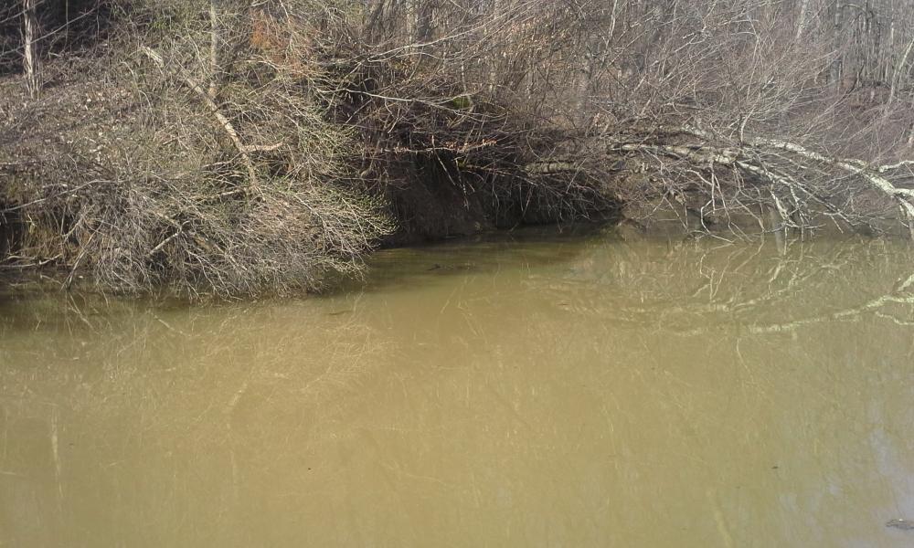 20160315_110949.jpg