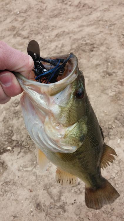 20160323_172537.jpg