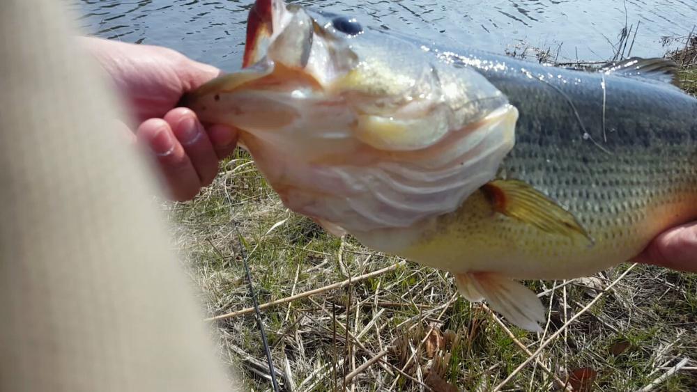 20160323_310523617.jpg
