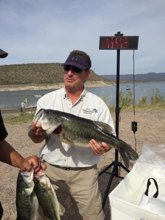 10 pound Roosevelt lake bass.jpg