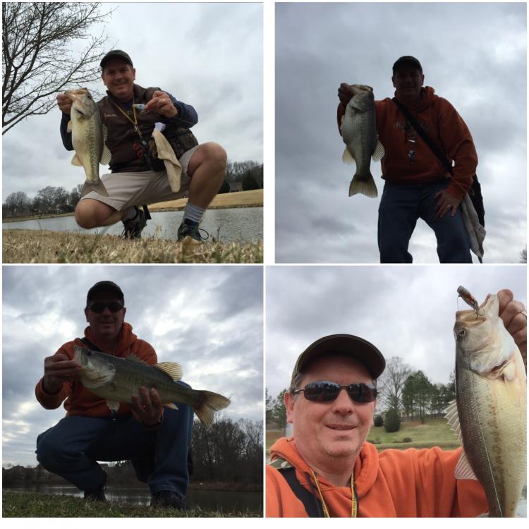 56db9f541c2cb_Spring2016bassCollage.thum