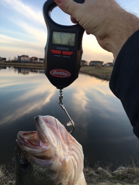 56e37ee3a618d_5lbs2ozMarch112016scale2.J