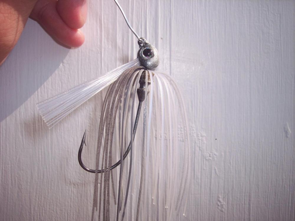swim jig.jpg