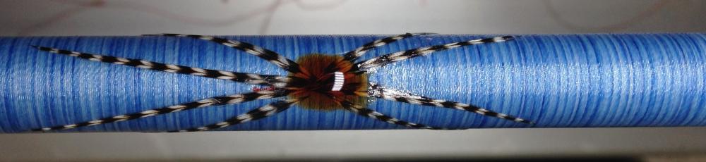 56f1d52652bef_featherspider.thumb.JPG.8d