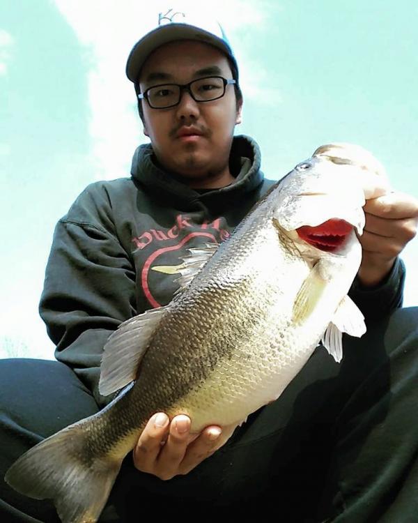 Bass.jpg