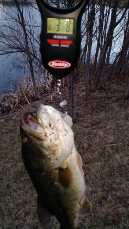 IMG_20160320_184654721.jpg