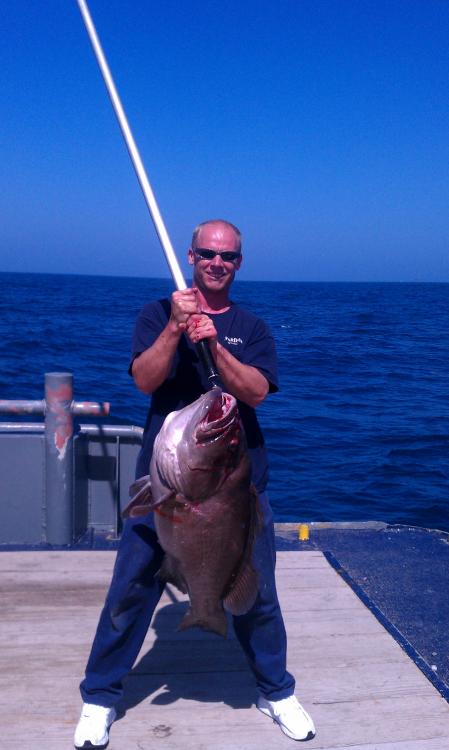 grouper.jpg