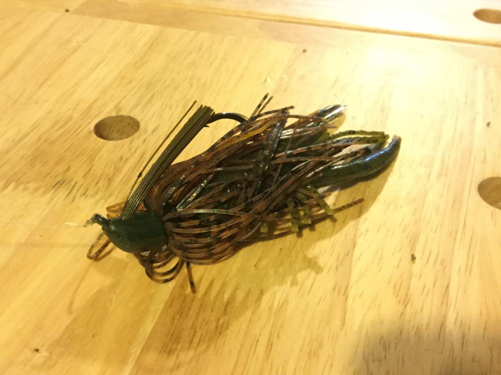image.thumb.jpeg.37395e5921d2ebd7d42dc2b