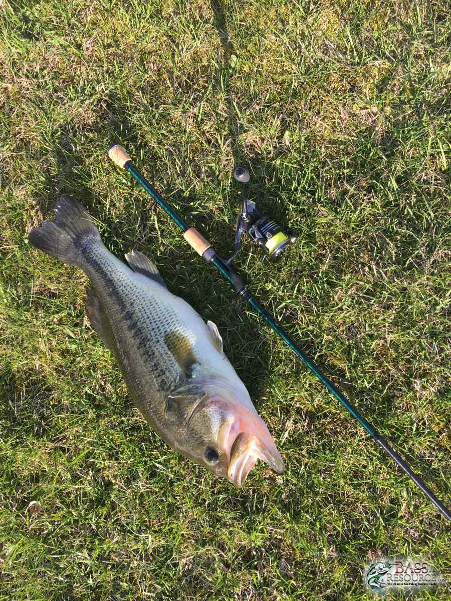 PB