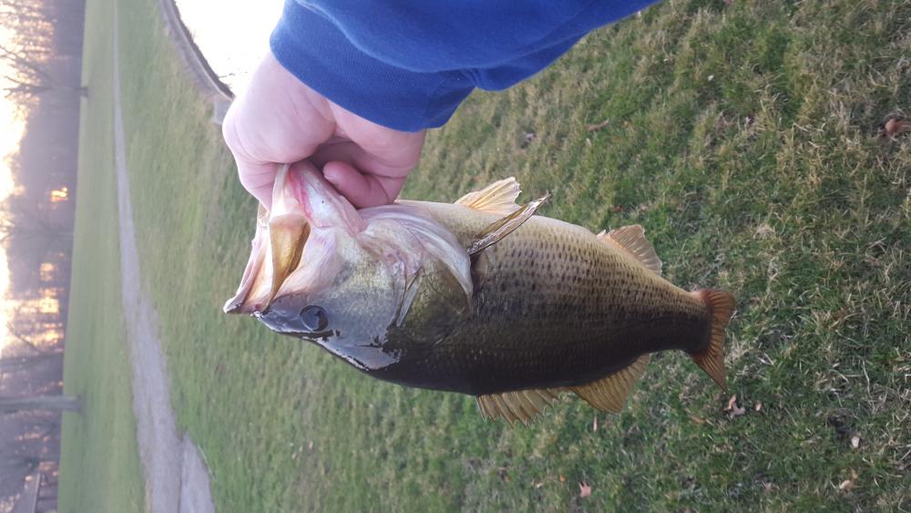20160326_192653.jpg