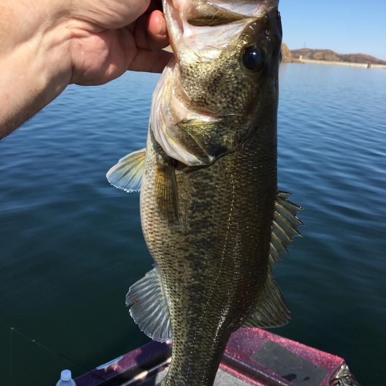20160401 021.JPG