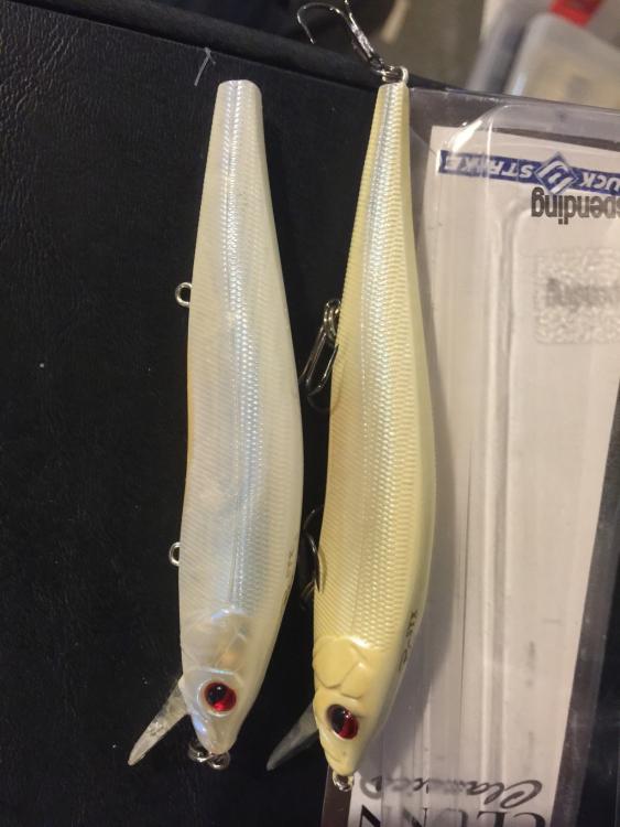 STX RC.jpg