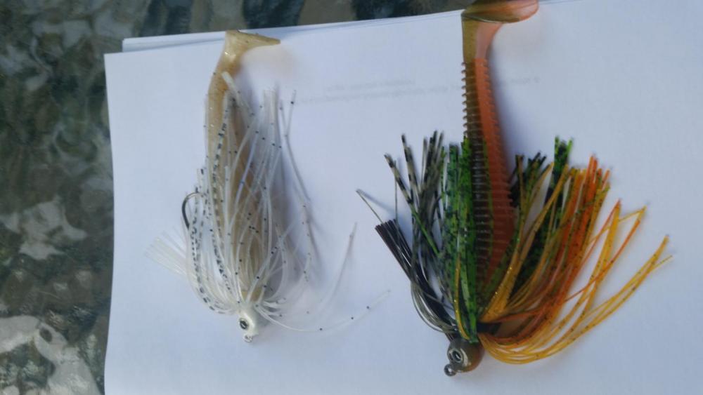 swim jigs.jpg
