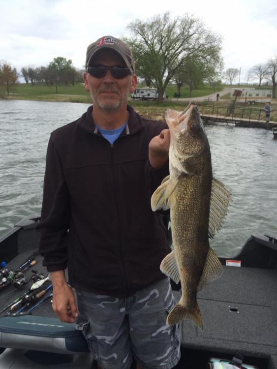 miola walleye.jpg