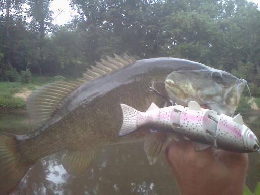 BBZ Smallie.jpg
