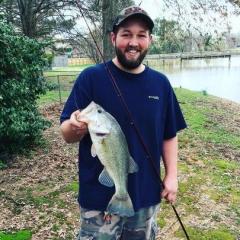 bassinNorthMS