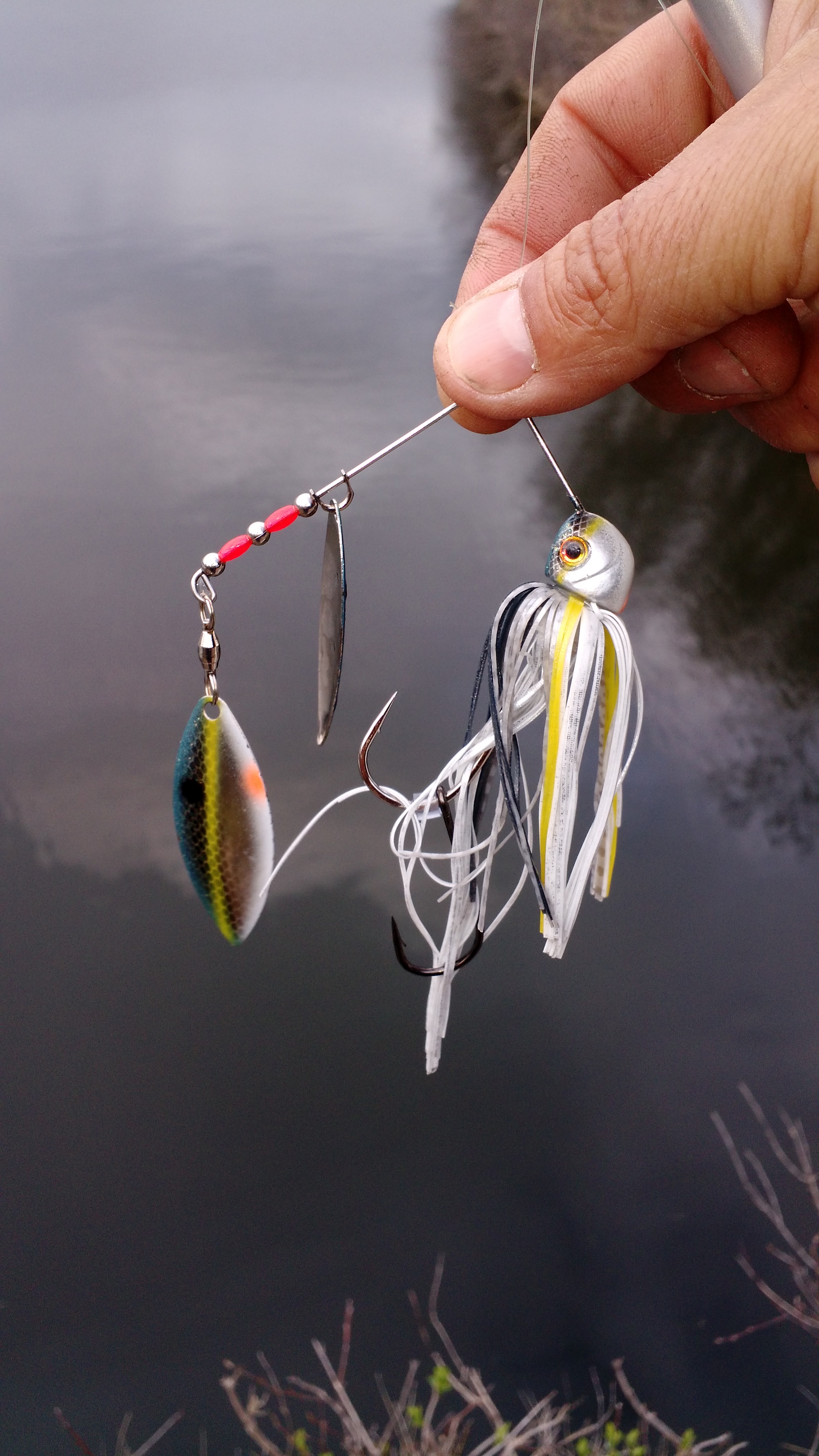 Spring spinnerbaiting: what are you throwing? - Fishing Tackle - Bass  Fishing Forums