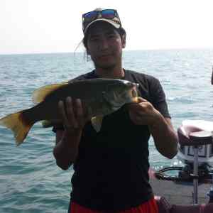 Decent fish.jpg