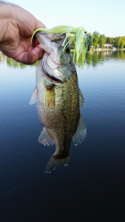 160523_2lb.jpg