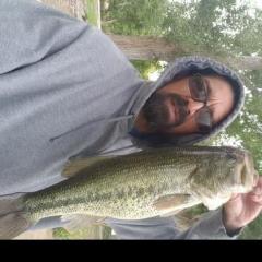etrout72