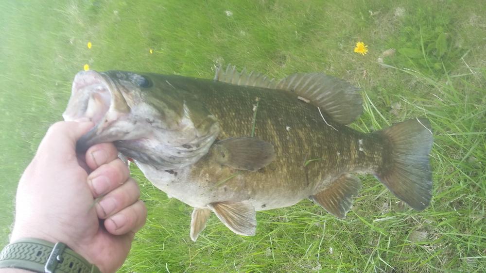 20160505_155405.jpg