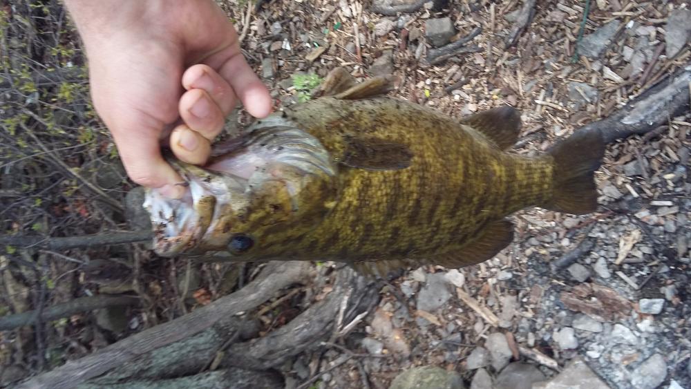 20160510_105902.jpg