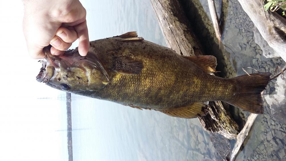 20160510_110220.jpg