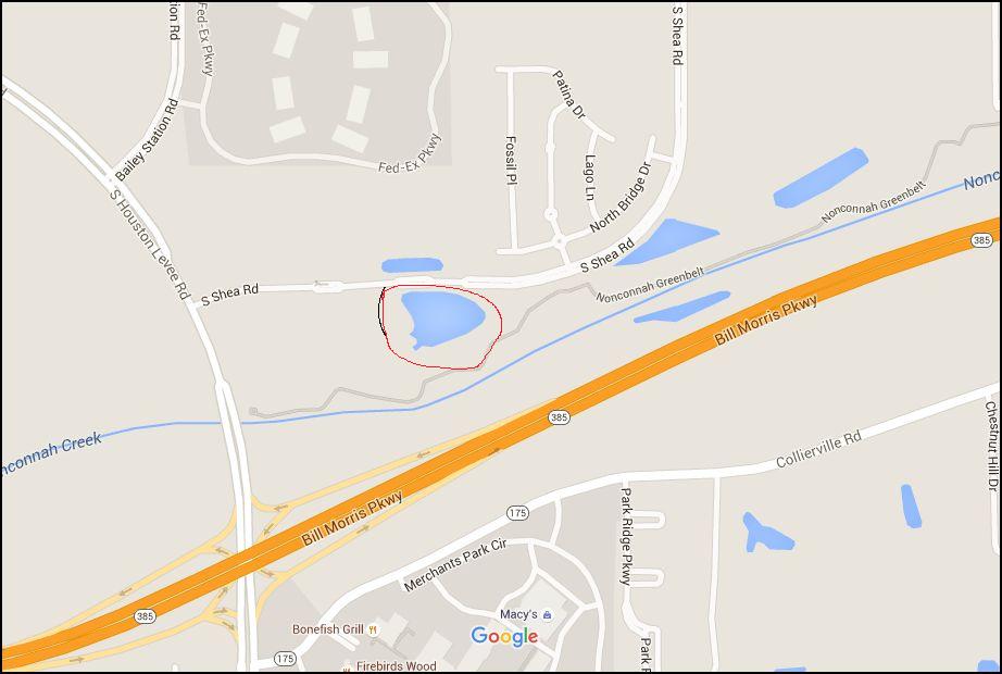 Daycare Pond Map.JPG