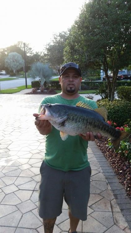 Close to 5lbs. Good Job. 6 is generous.jpg
