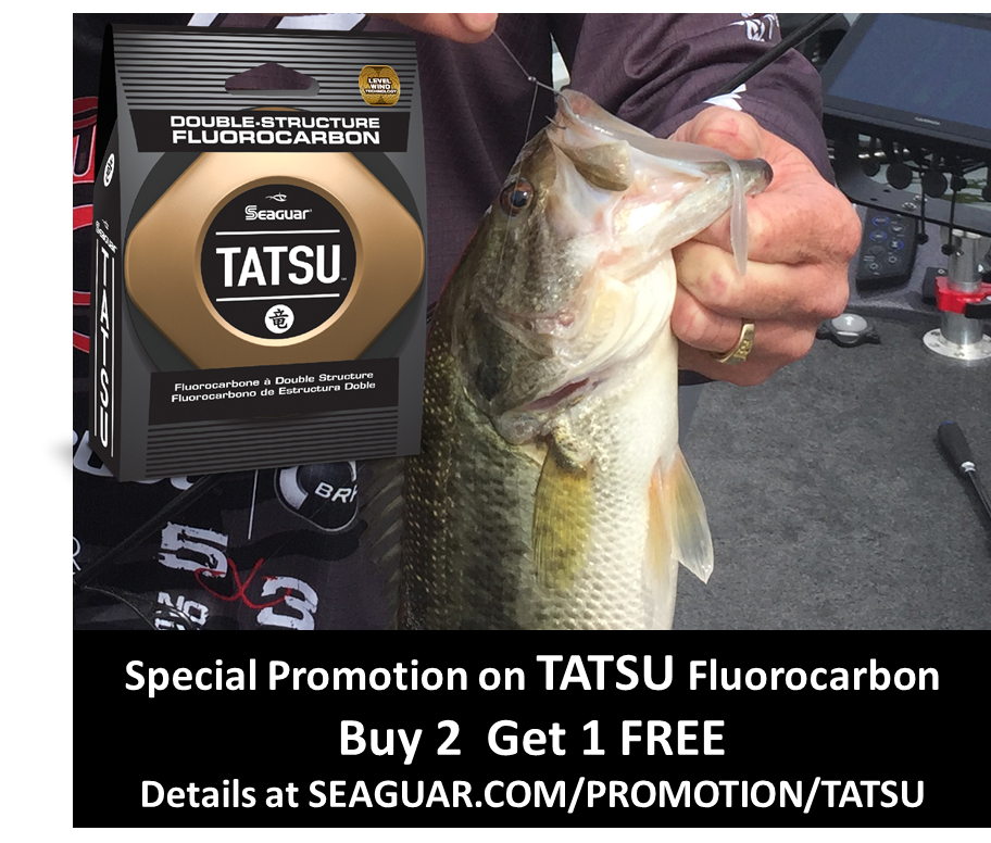Tatsu.Instagram a copy.jpg