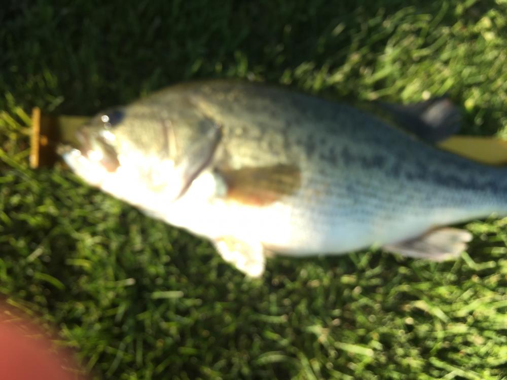 5 lb 2 oz on May 2nd - close up.JPG
