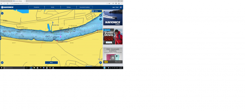 downstream 1.png