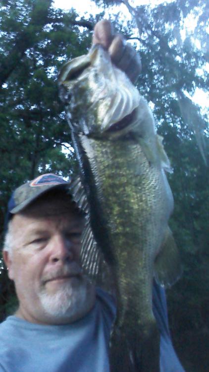 IMG_20160430_200018769.jpg