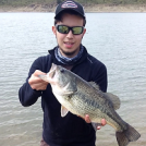 Spbassfish