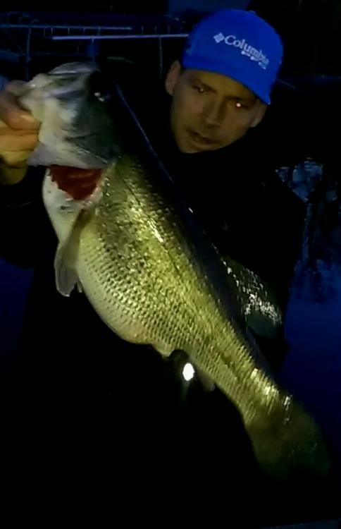 VIDEO0122_0000005259_1.jpg