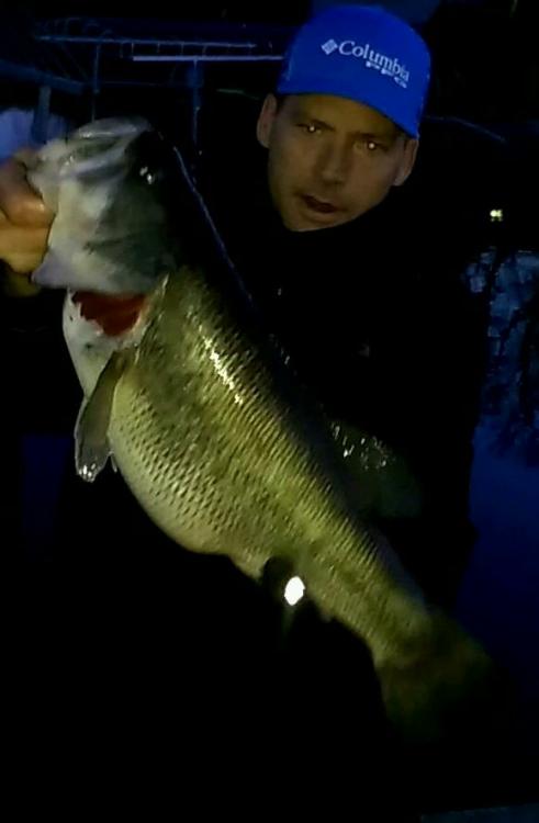 VIDEO0122_0000006166_1.jpg