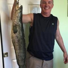 Snakehead Chef