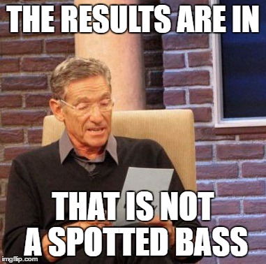 15twf1.jpg