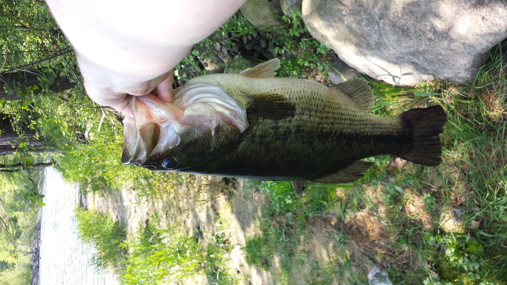 20160525_105640.jpg