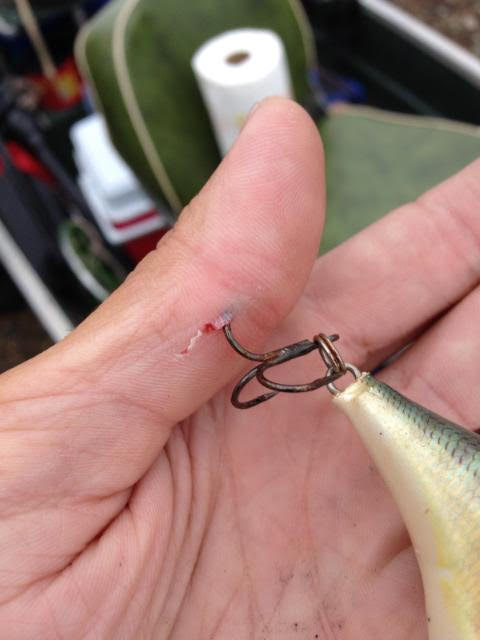 Does anyone here share my dilemma of treble hook lures? - Fishing Tackle -  Bass Fishing Forums